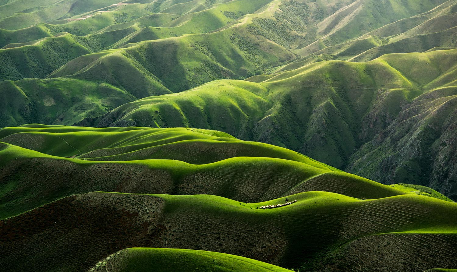 The top 10 places to go hiking tomorrow